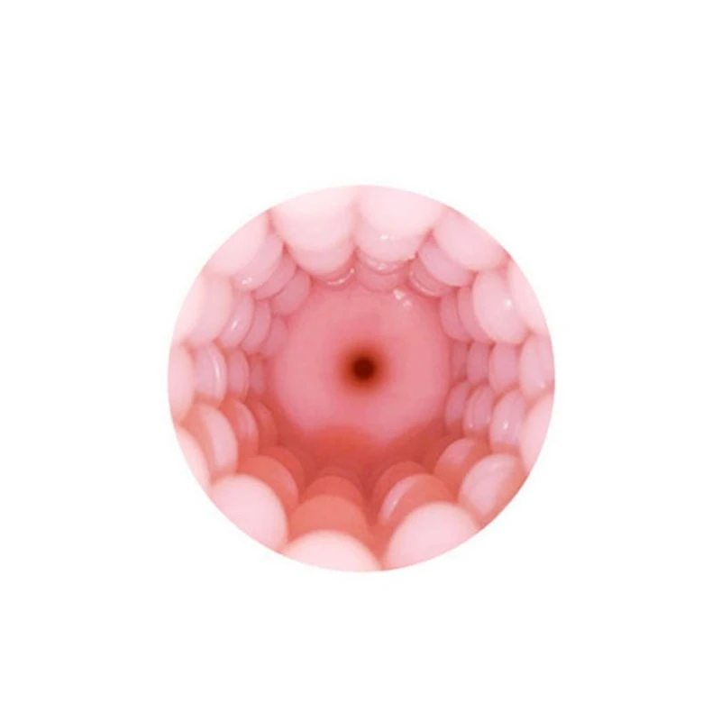 Lovense Gaine Vagin Pour Masturbateur Connecté Max 2 2 Lovense Gaine Vagin Pour Masturbateur Connecté Max 2 – Image 2