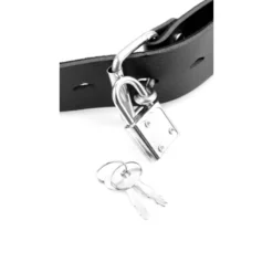 Pipedream Baillon-Gode Deluxe -SexToys Soldes 2023 pipedream fetish fantasy series deluxe ball gag with dildo 2