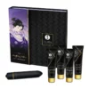 Shunga Kit Geisha Coquine