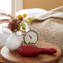 Womanizer DUO Bordeaux -SexToys Soldes 2023 womanizer duo bordeaux 5